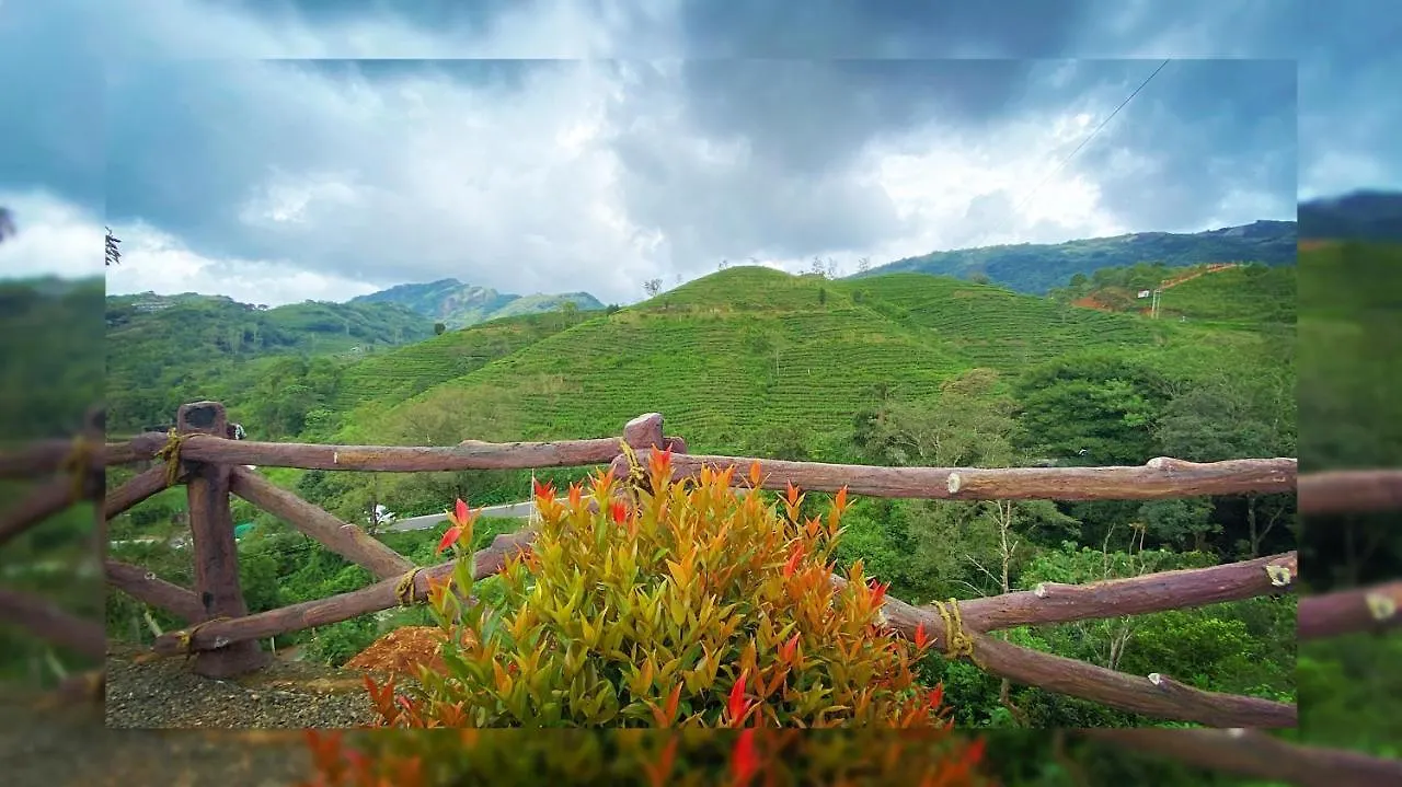 Hill Monk - Bethany Heights Vagamon 0*,