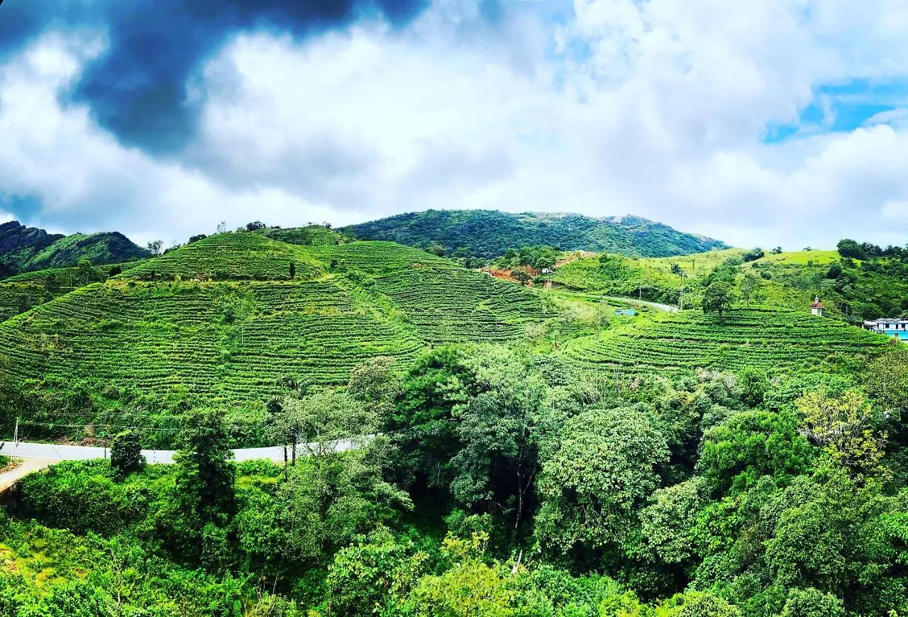 Hill Monk - Bethany Heights Vagamon 0*,  Indie